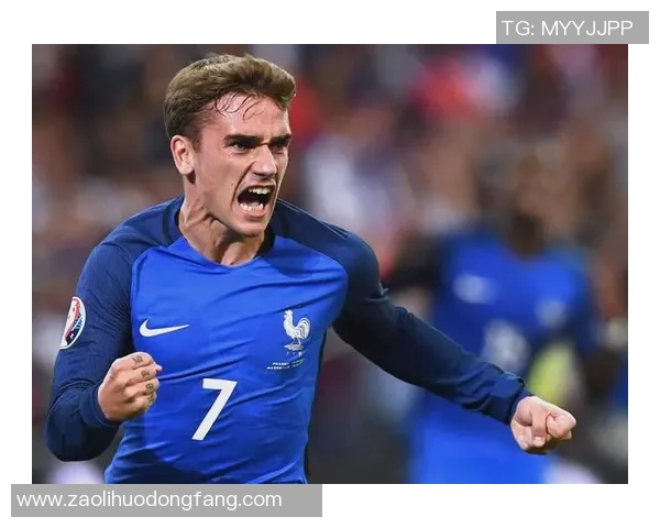 瑞典国家队足球明星的辉煌历程与未来展望