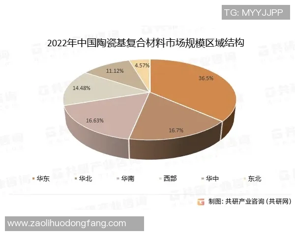 厄德高在球场上的精彩表现与未来发展潜力分析