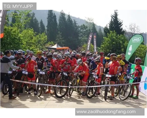 帕尔马与罗马激战正酣CCTV直播精彩赛事全程回顾