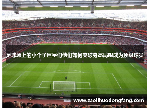 足球场上的小个子巨星们他们如何突破身高局限成为顶级球员