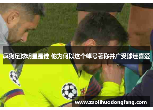 疯狗足球明星是谁 他为何以这个绰号著称并广受球迷喜爱
