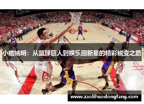 小痞姚明：从篮球巨人到娱乐圈新星的精彩蜕变之路