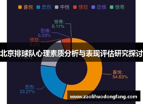 北京排球队心理素质分析与表现评估研究探讨