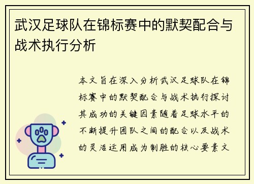 武汉足球队在锦标赛中的默契配合与战术执行分析