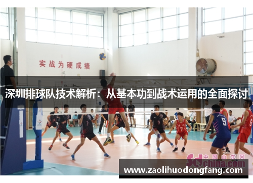深圳排球队技术解析：从基本功到战术运用的全面探讨