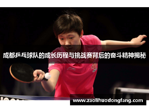 成都乒乓球队的成长历程与挑战赛背后的奋斗精神揭秘