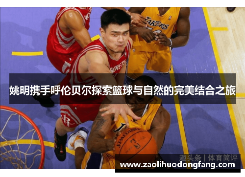 姚明携手呼伦贝尔探索篮球与自然的完美结合之旅
