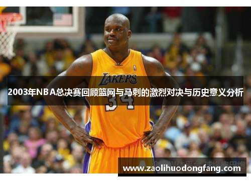2003年NBA总决赛回顾篮网与马刺的激烈对决与历史意义分析