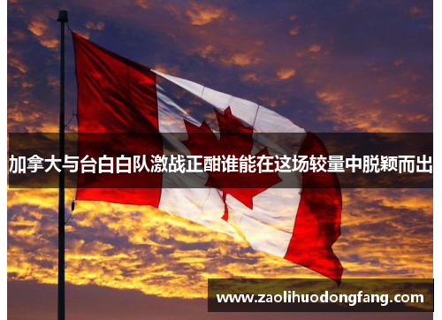 加拿大与台白白队激战正酣谁能在这场较量中脱颖而出