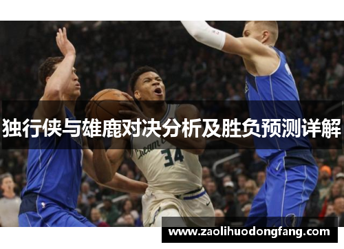 独行侠与雄鹿对决分析及胜负预测详解