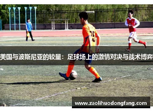 美国与波斯尼亚的较量：足球场上的激情对决与战术博弈