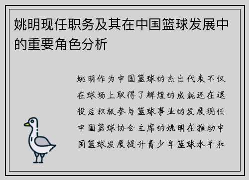 姚明现任职务及其在中国篮球发展中的重要角色分析